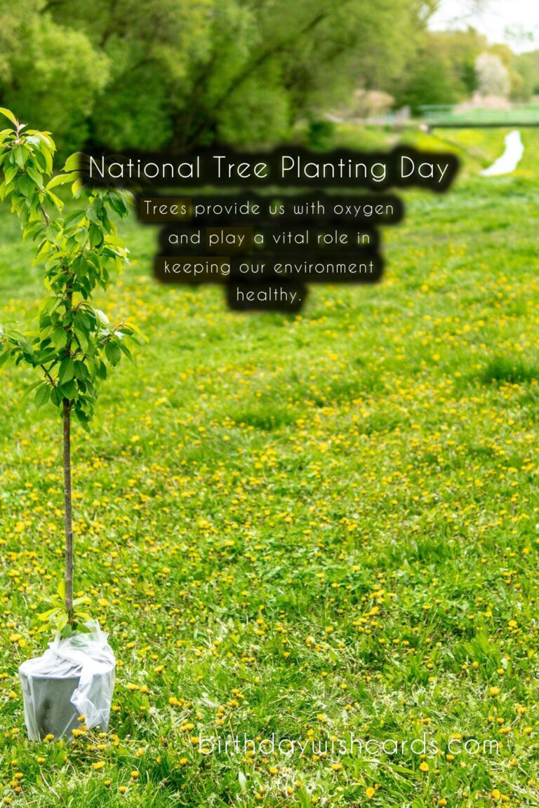 First Saturday in December: National Tree Planting Day