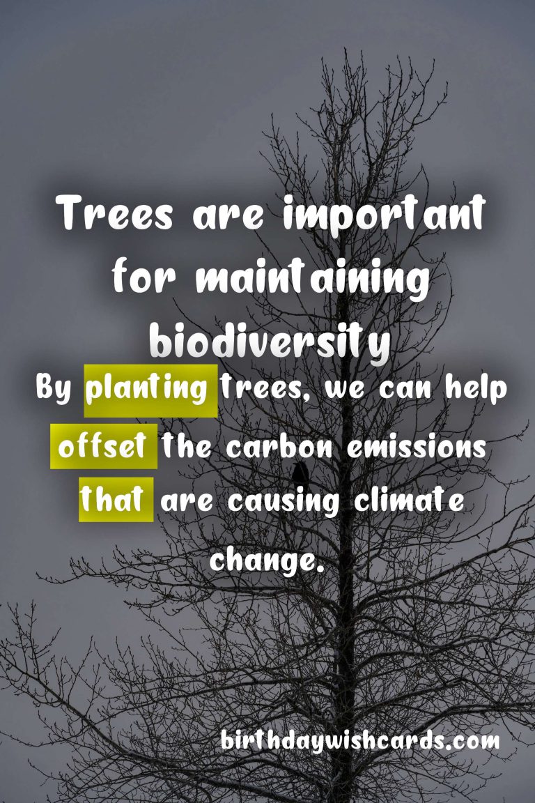 National Tree Day: June 6