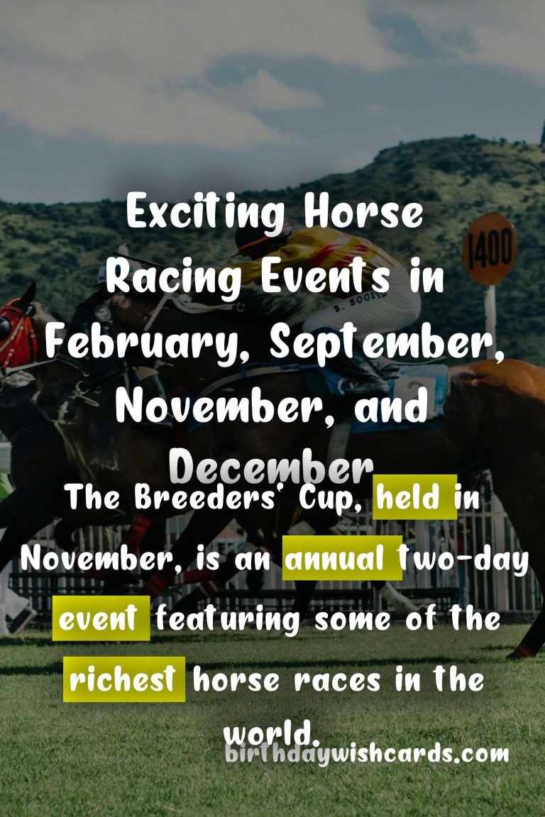 Horse Racing in February, September, November and December: A Look at the Exciting Race Schedule