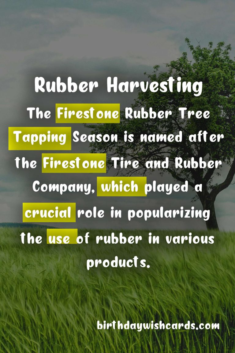 Firestone Rubber Tree Tapping Season – November to February