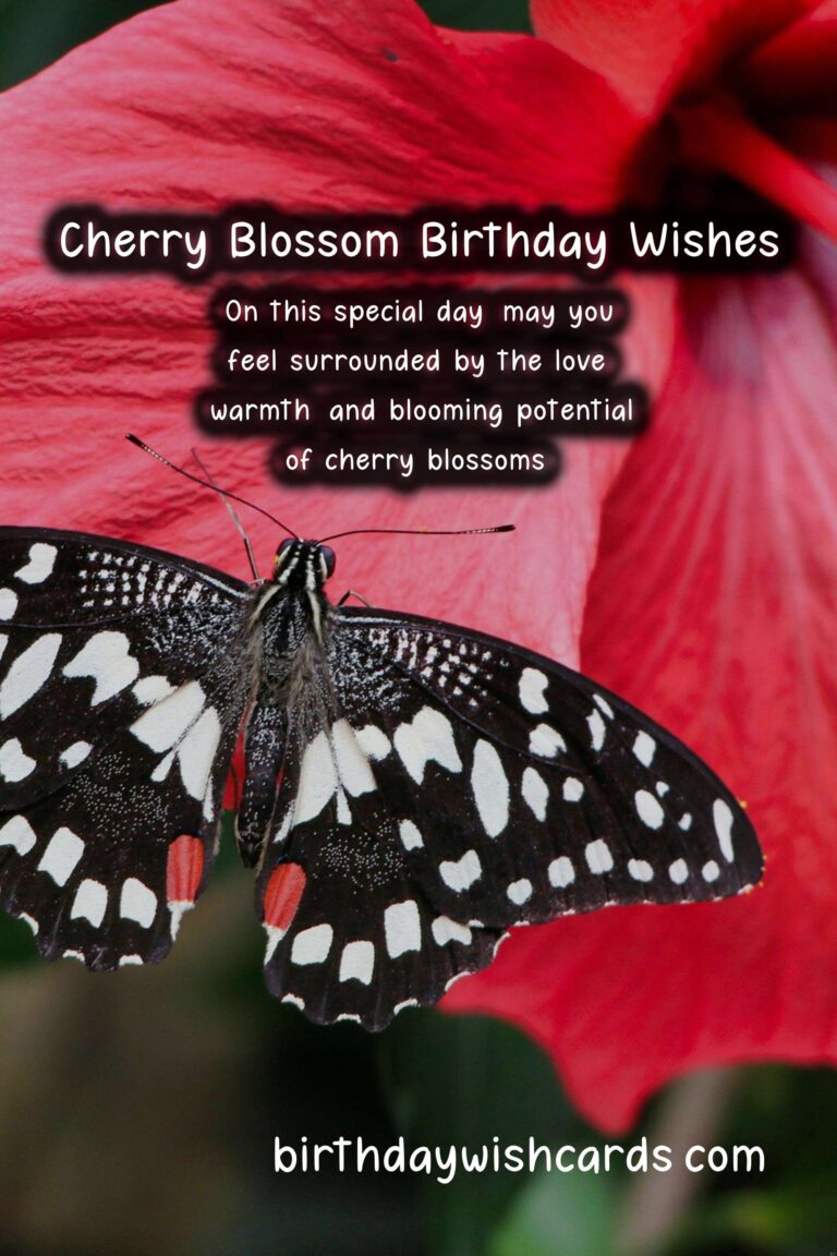 Cherry Blossom Birthday Wishes: Delicate and Hopeful Celebrations
