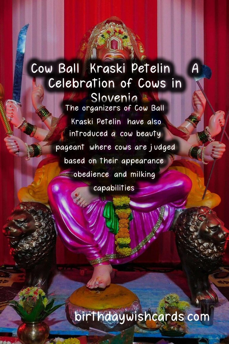 Cow Ball (Kraski Petelin) - 26 December