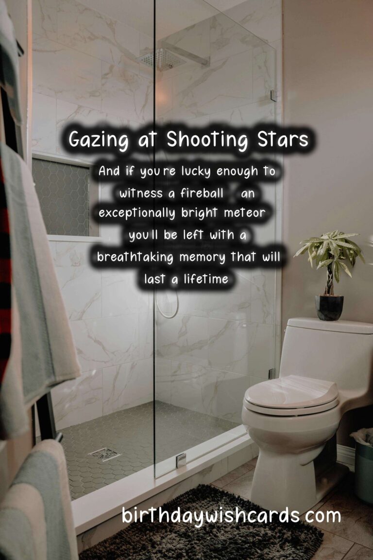 Meteor Shower Wishes: Gazing at Shooting Stars