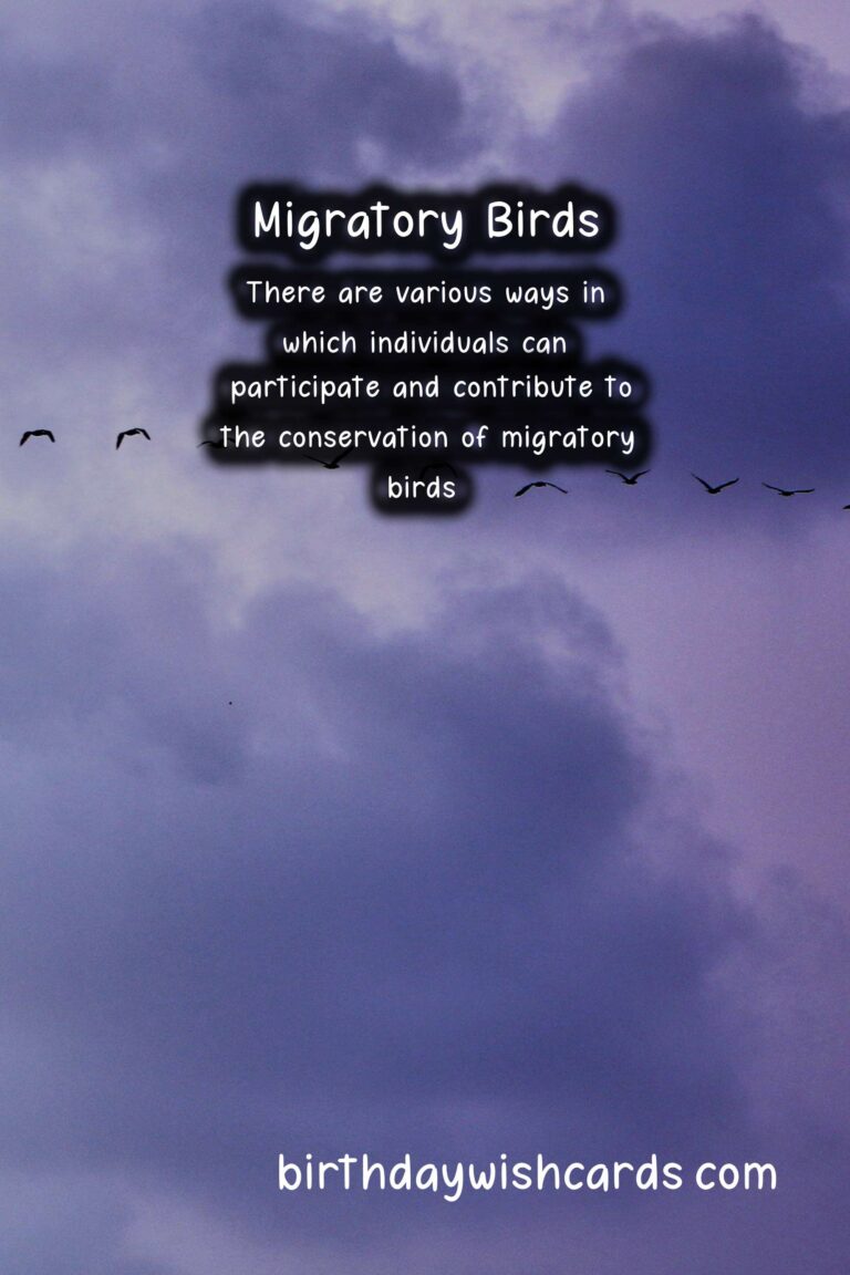National Day of the Migratory Bird – January 12