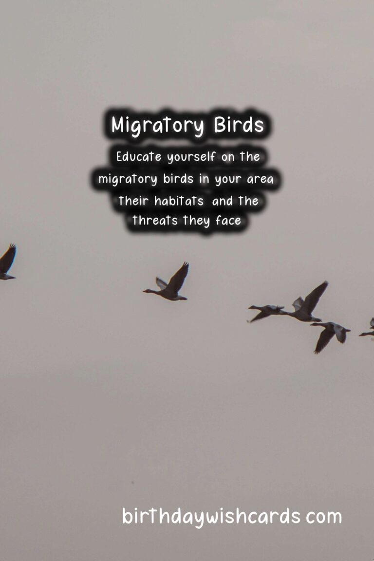 National Day of the Migratory Bird - January 12
