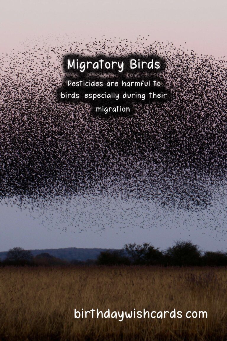 National Day of the Migratory Bird - January 12