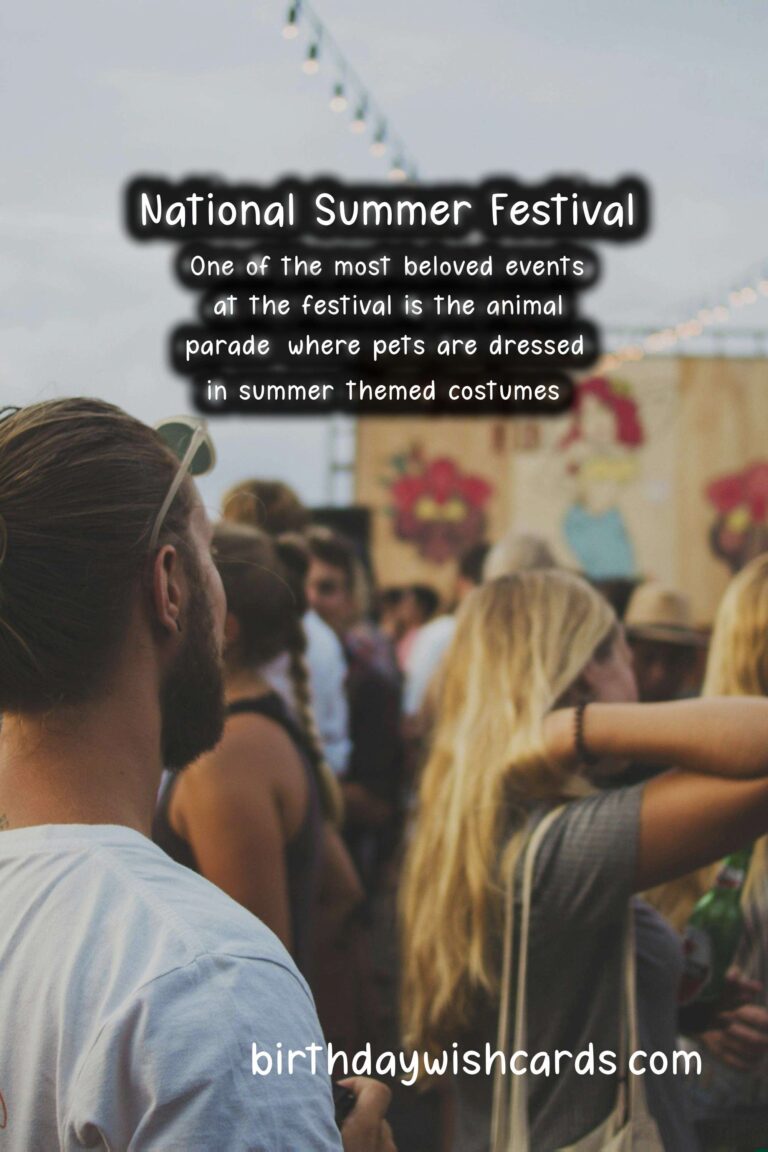 National Summer Festival - February 01