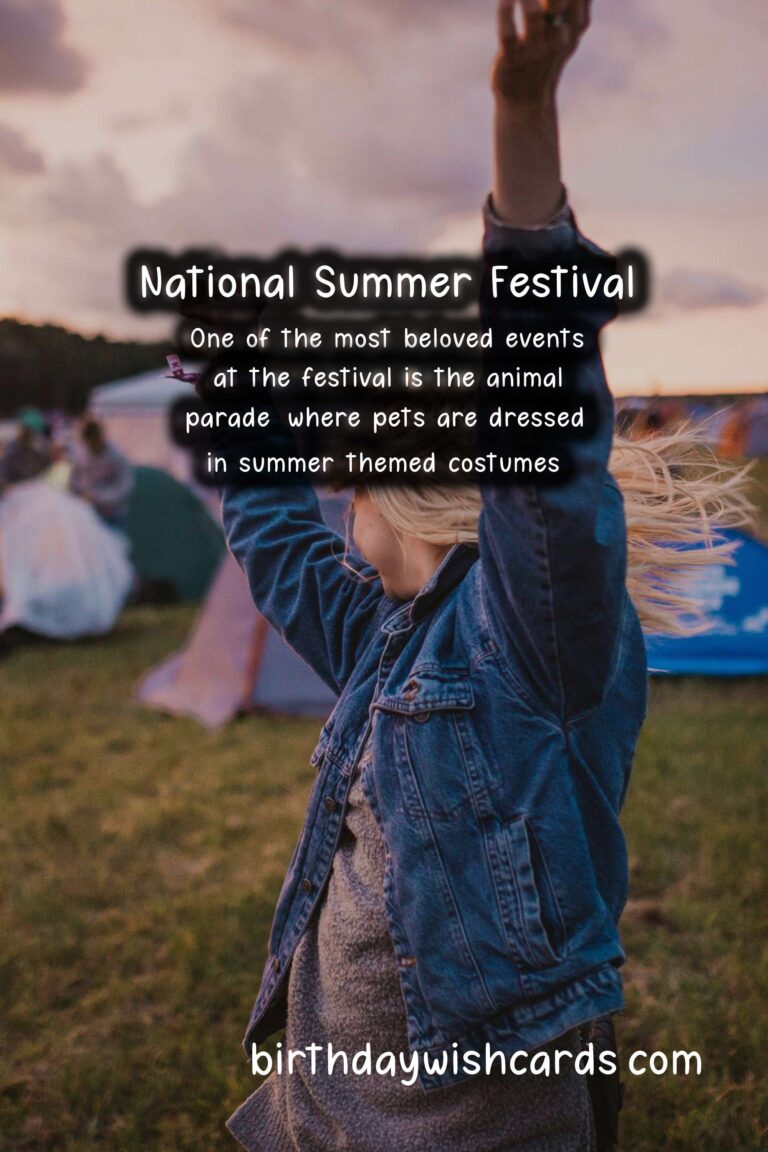 National Summer Festival - February 01