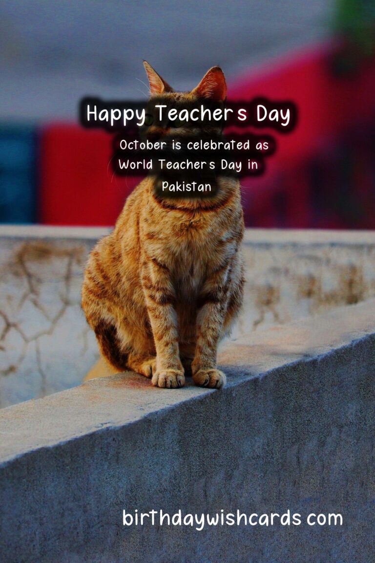 5 October – World Teacher’s Day (celebrated in Pakistan)