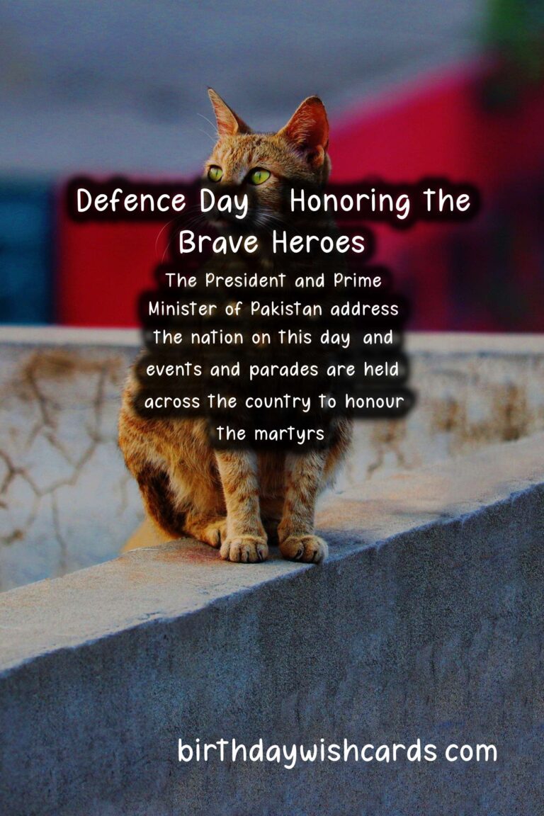 9 September - Defence Day: Remembering the Brave Heroes of Pakistan