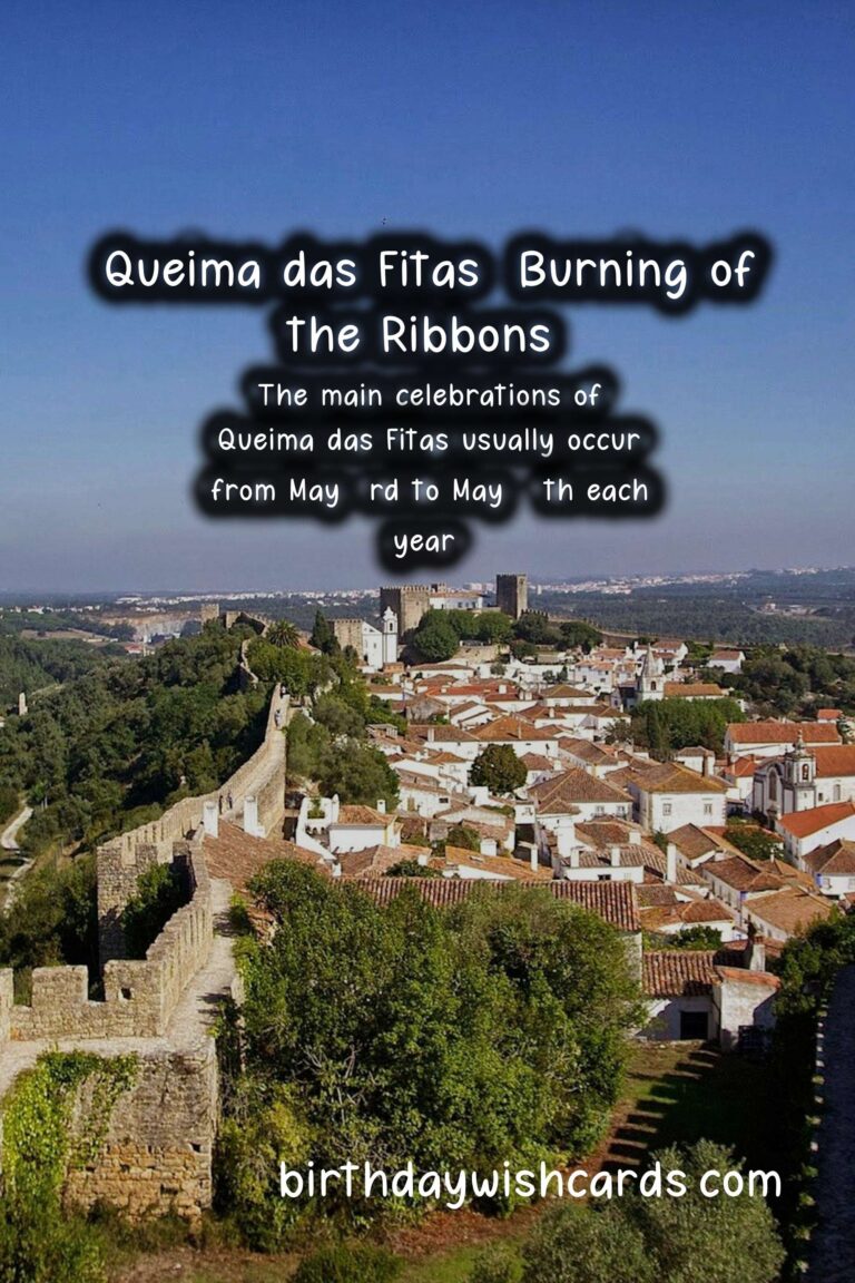 All You Need to Know About Queima das Fitas (Burning of the Ribbons) - May 3-10
