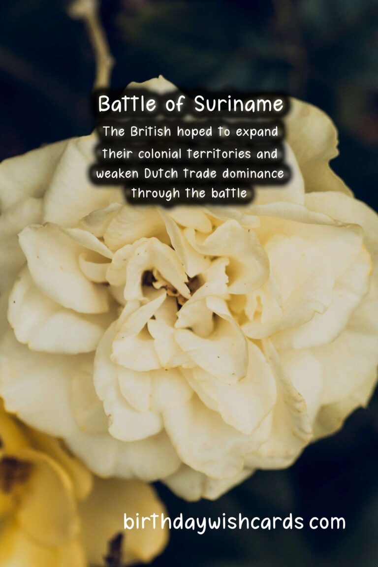 Battle of Suriname (June)