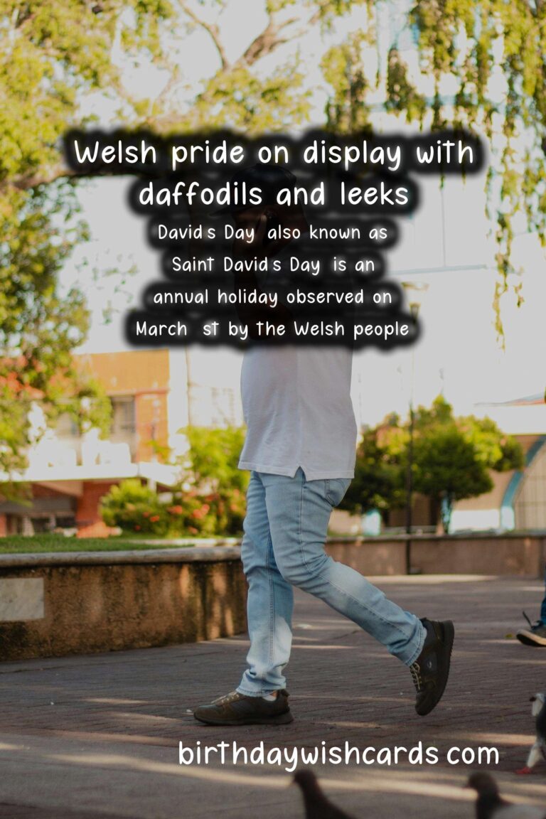 Celebrate David's Day - A Day of Culture and Heritage
