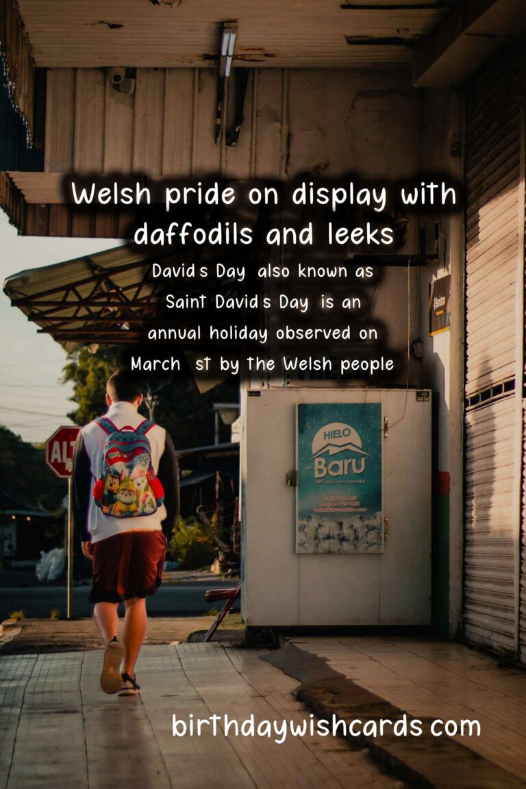 Celebrate David's Day - A Day of Culture and Heritage
