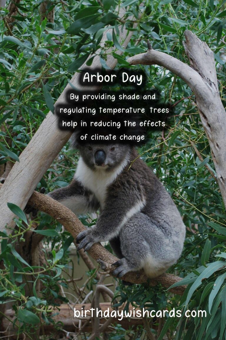 Celebrate Nature on April 25: Arbor Day