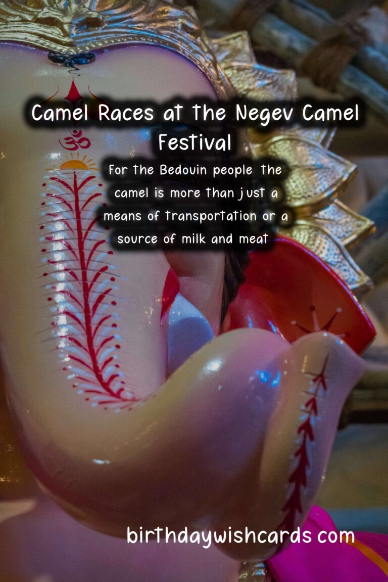 Celebrate the Rich Culture of the Negev Camel Festival – December/January