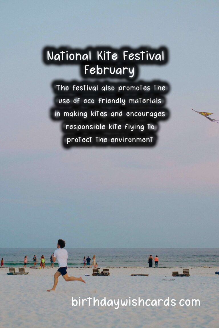Celebrate the sky with National Kite Festival – February