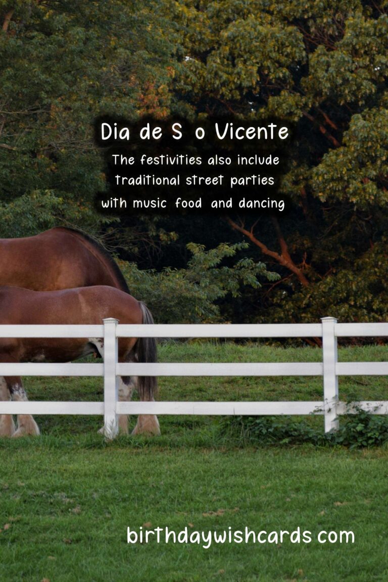 Dia de São Vicente: A Celebration of Faith and Community