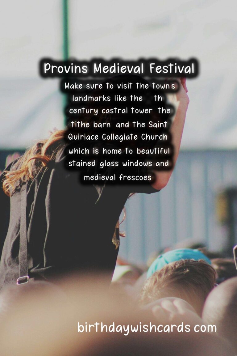 Exploring the Rich History and Exciting Festivities of Provins Medieval Festival