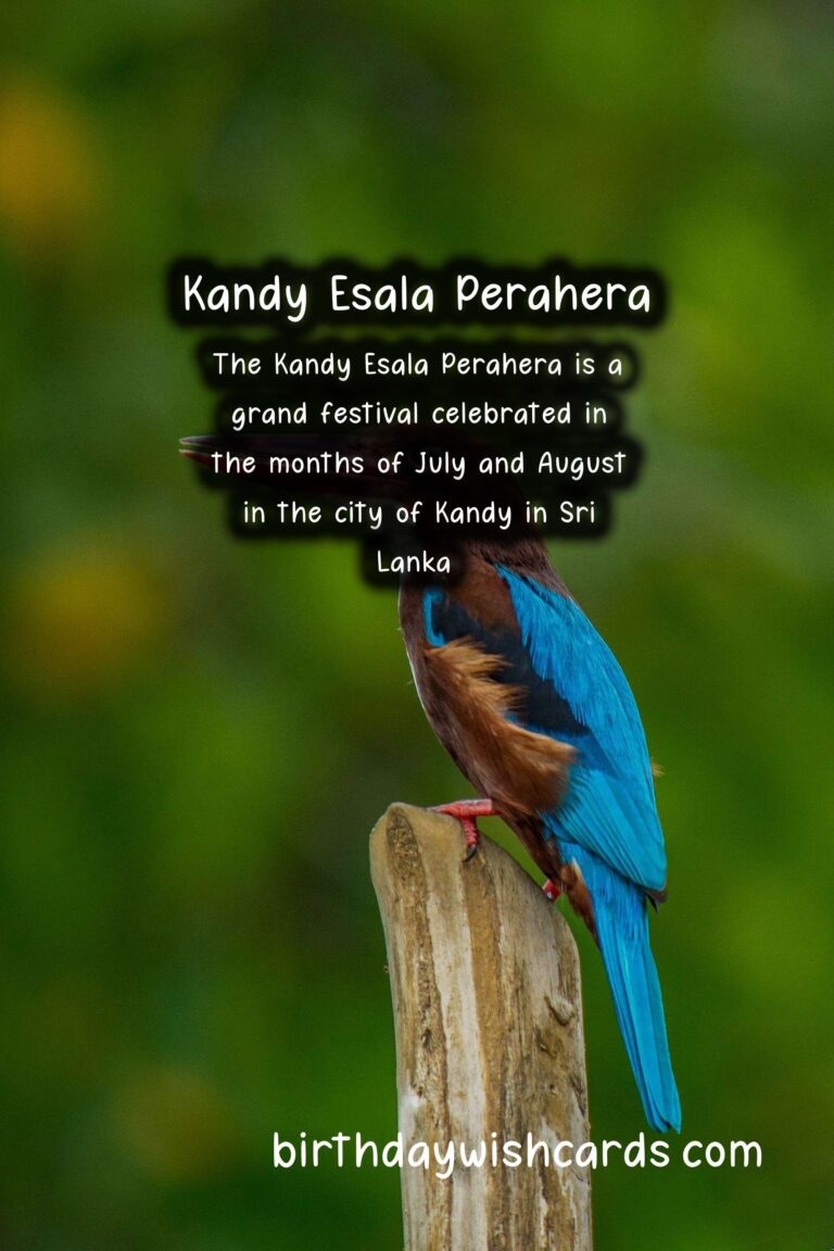 Kandy Esala Perahera – Celebrating the Rich Heritage and Culture of Sri Lanka