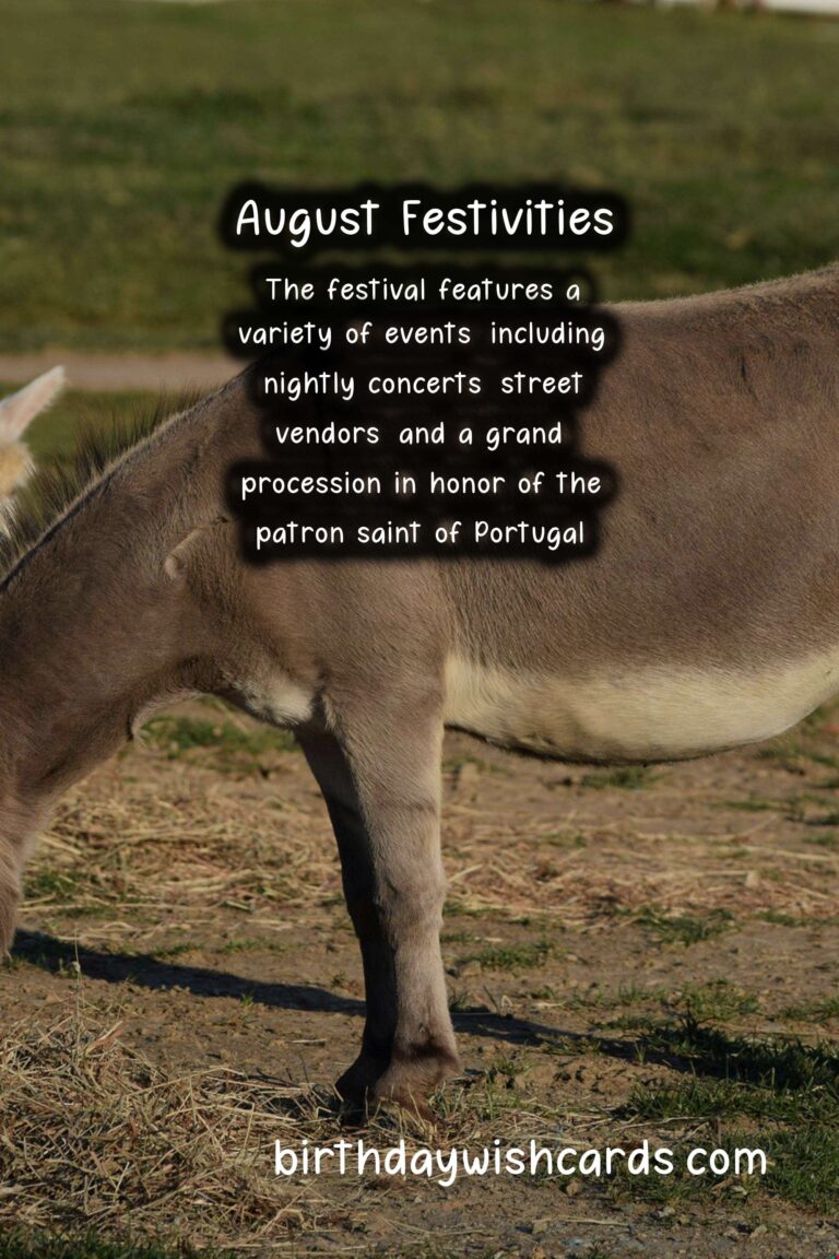 Let's Celebrate August with Festas de Agosto