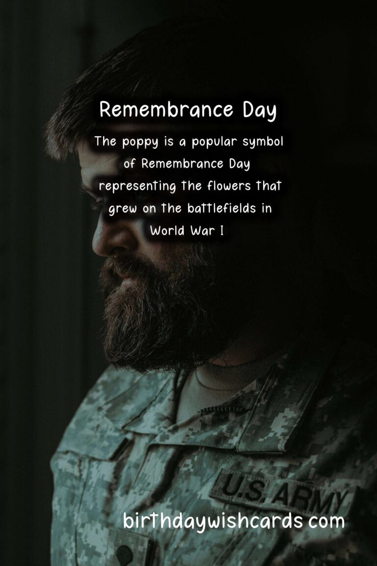 November 11: Remembrance Day