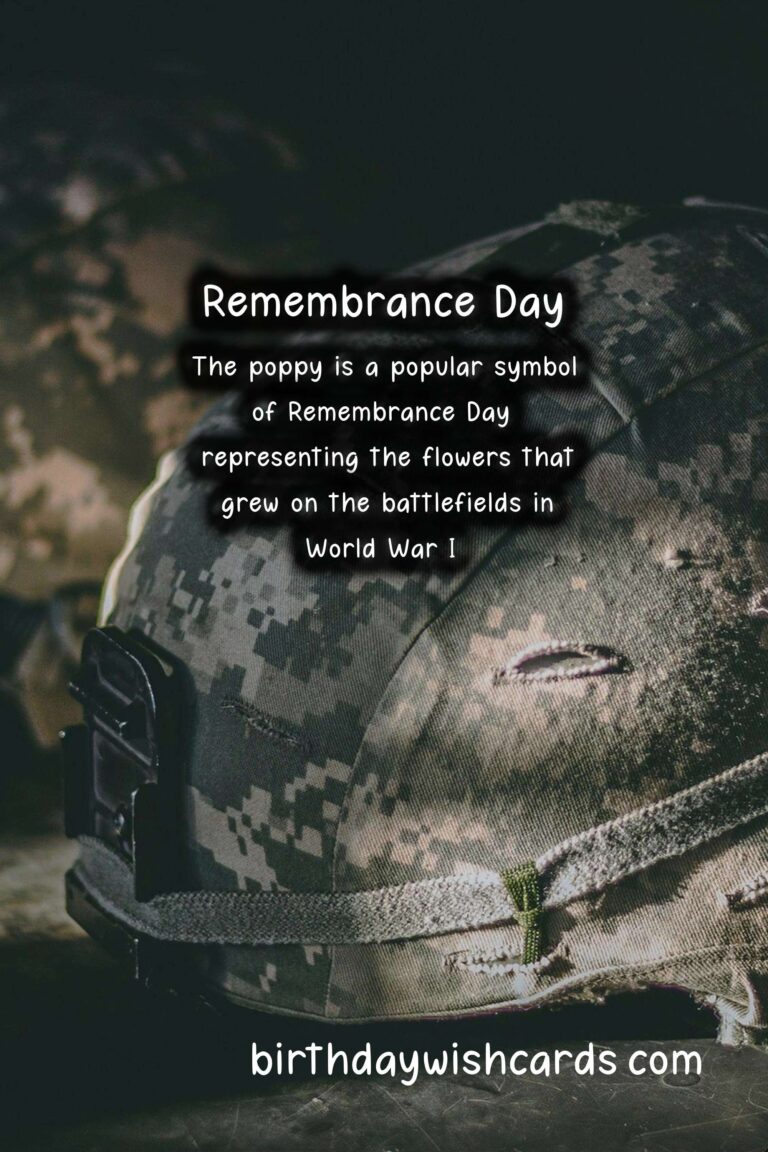 November 11: Remembrance Day