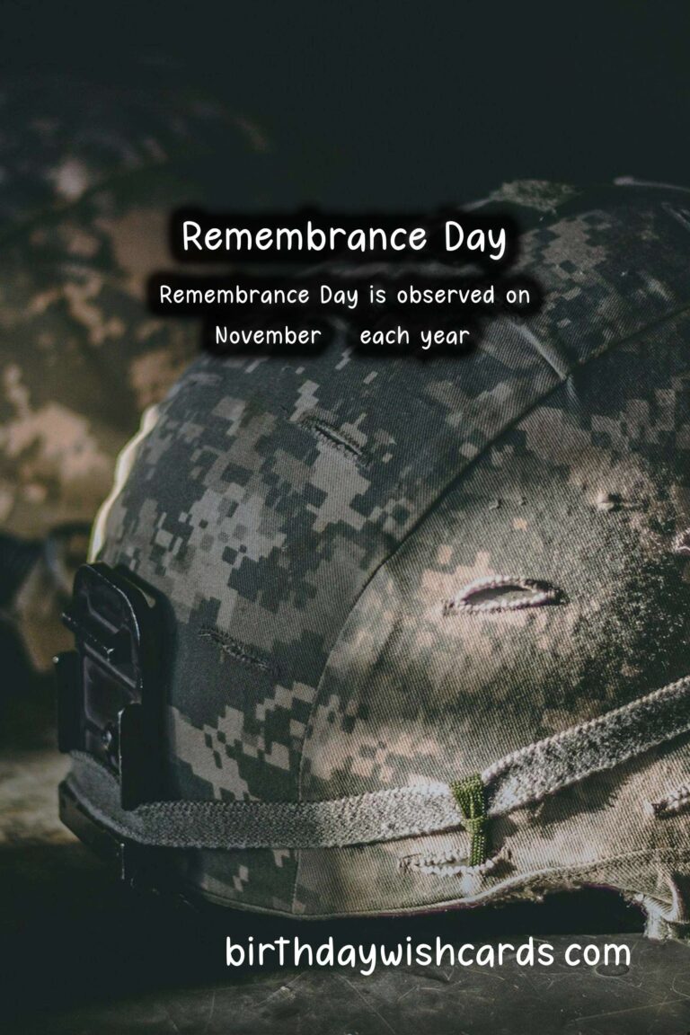 November 11: Remembrance Day