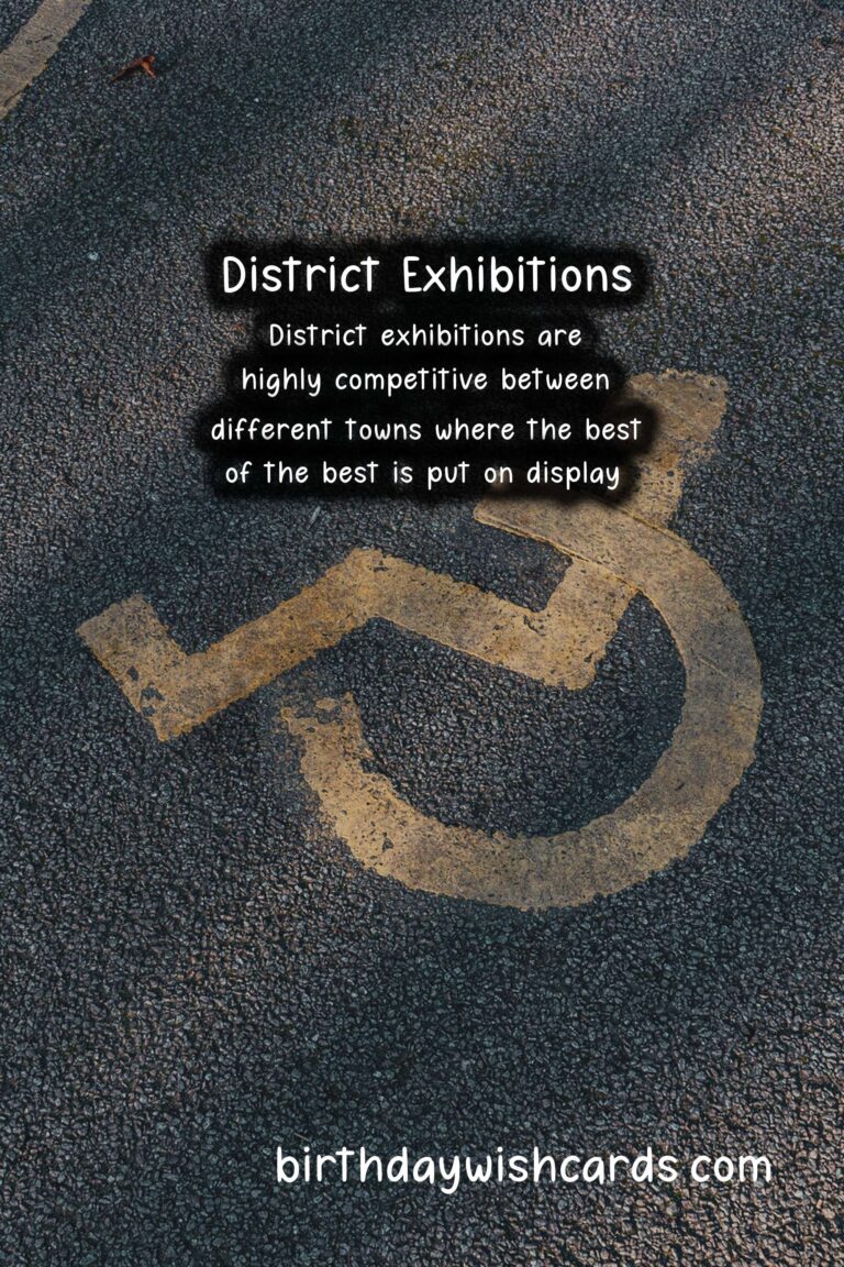 The Best District Exhibitions Held During The Months of July And August