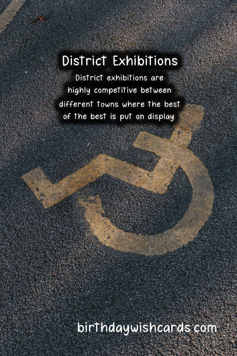 The Best District Exhibitions Held During The Months of July And August