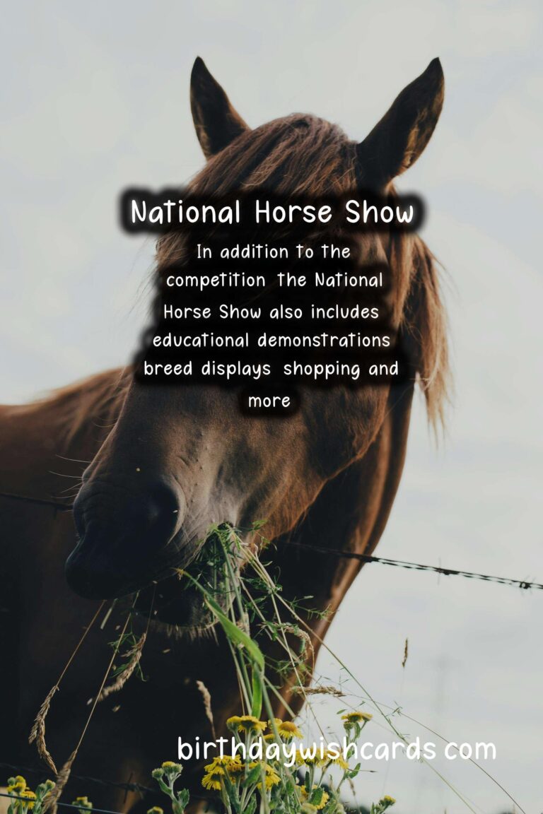 The National Horse Show – A Premier Equestrian Event