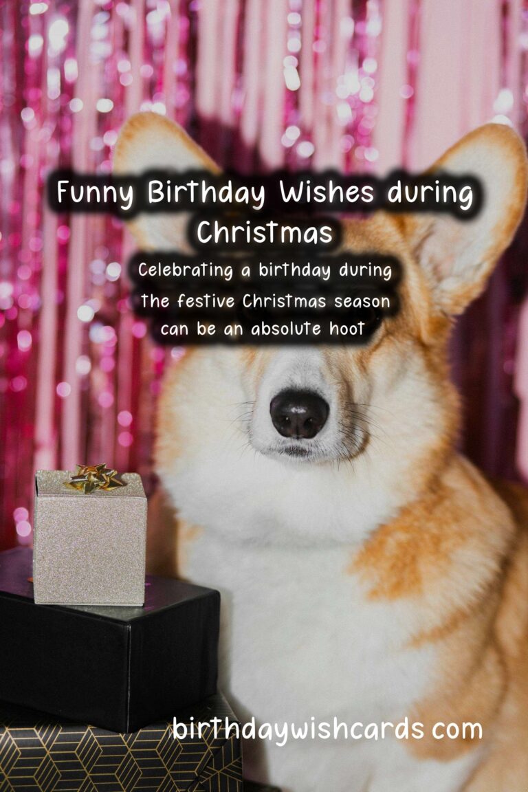 Hilarious Birthday Wishes for Christmas Celebrants