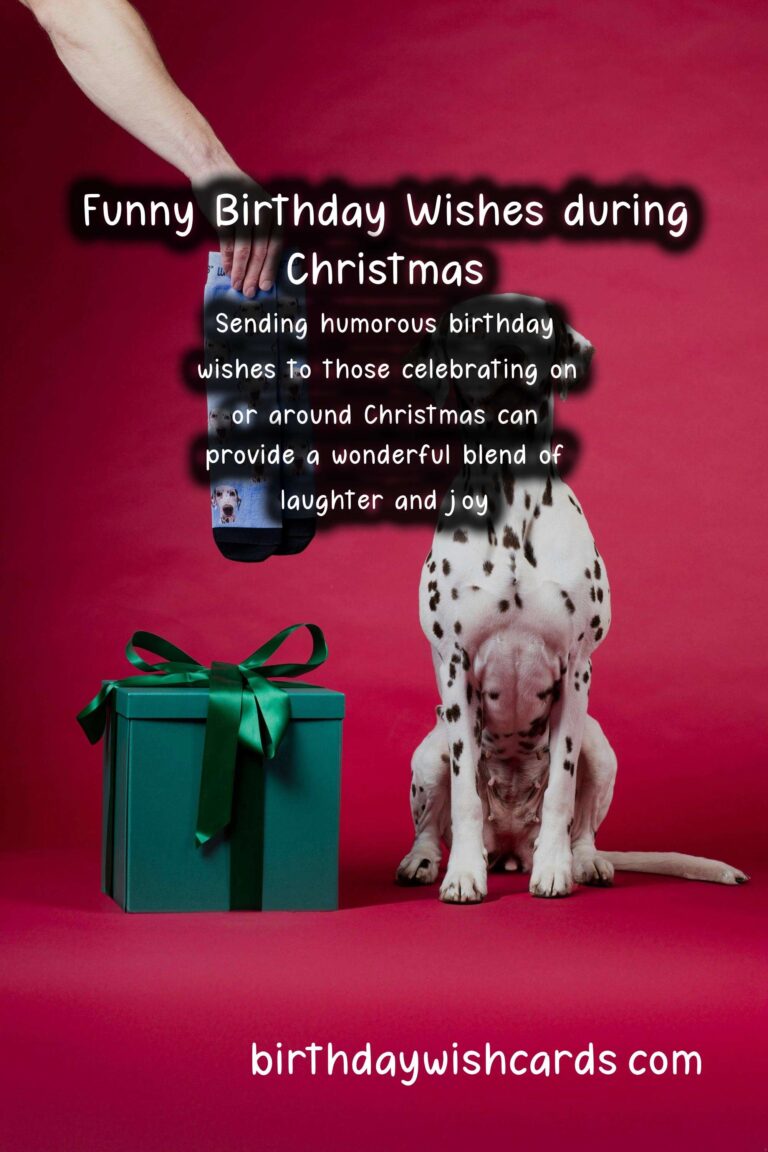 Hilarious Birthday Wishes for Christmas Celebrants