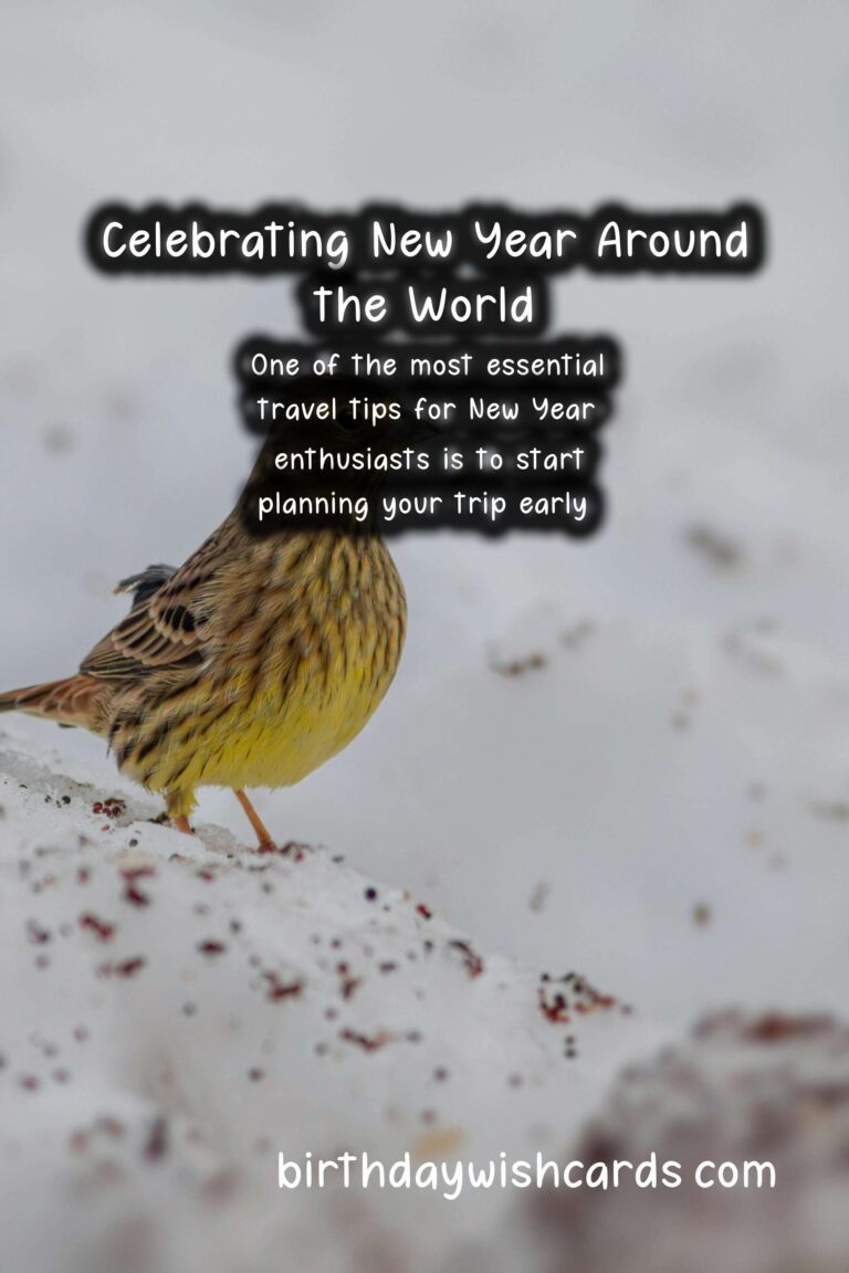 Travel Tips for New Year Enthusiasts