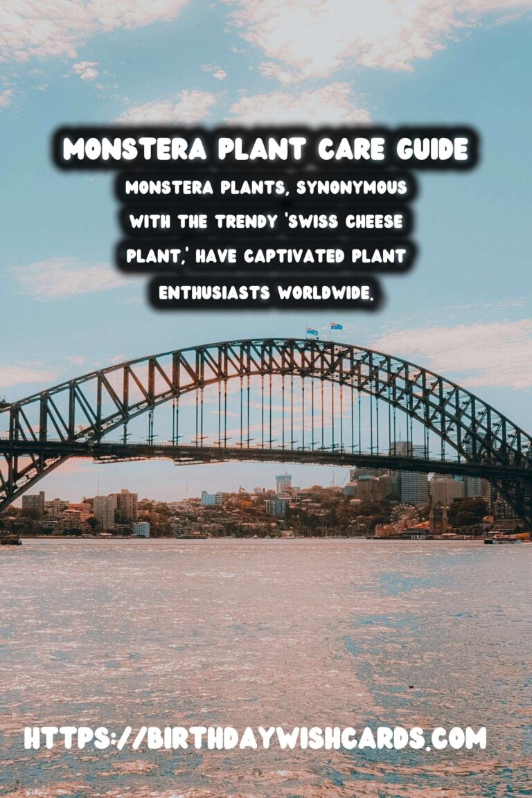 Caring for Monstera Plants: Aerial Roots Explained