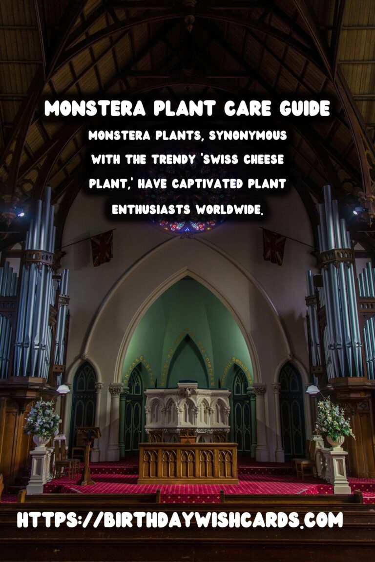 Caring for Monstera Plants: Aerial Roots Explained