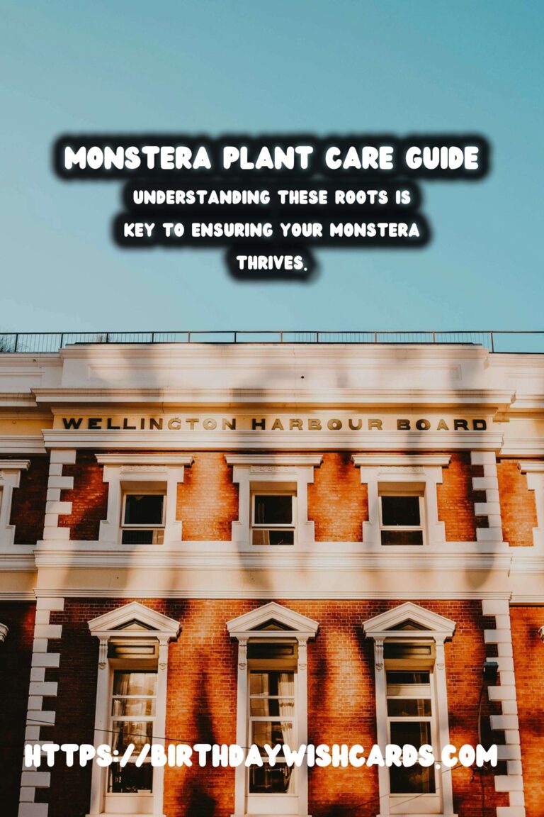 Caring for Monstera Plants: Aerial Roots Explained