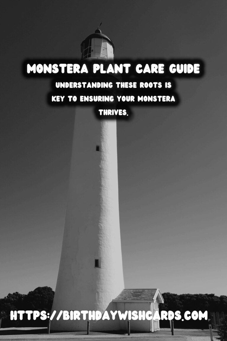 Caring for Monstera Plants: Aerial Roots Explained
