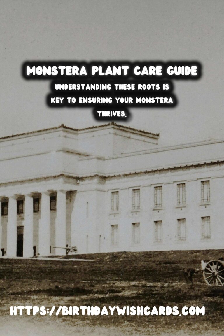 Caring for Monstera Plants: Aerial Roots Explained