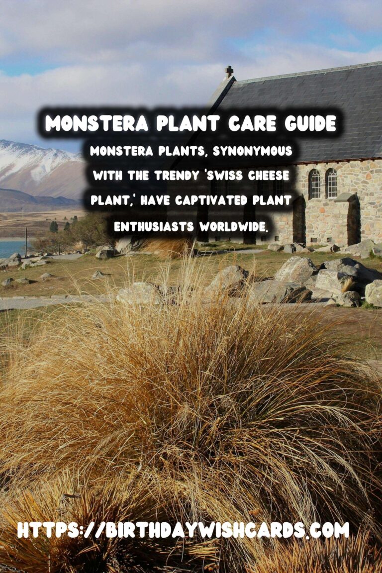 Caring for Monstera Plants: Aerial Roots Explained