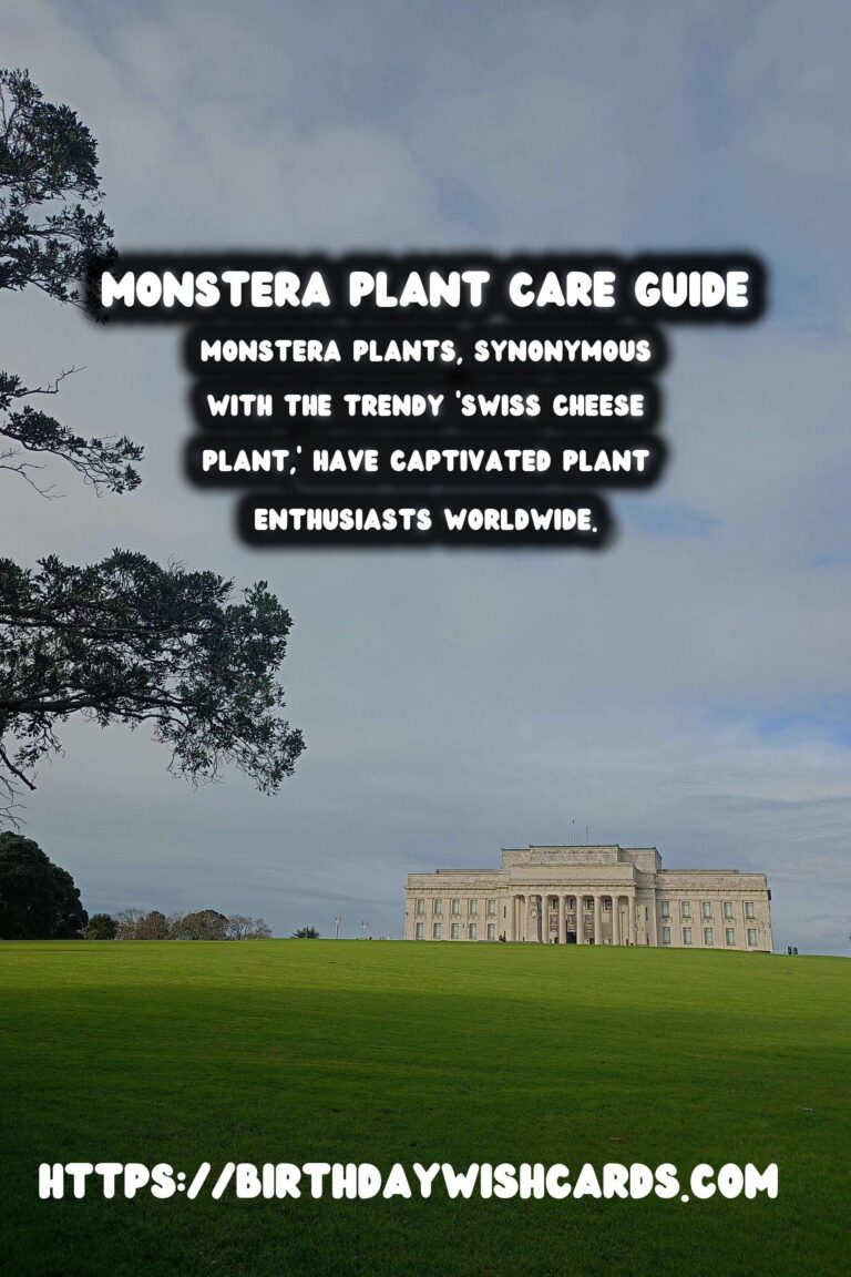 Caring for Monstera Plants: Aerial Roots Explained