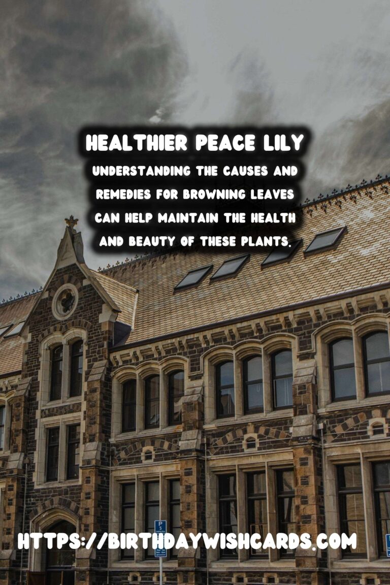 Caring for Peace Lilies: Troubleshooting Browning Leaves