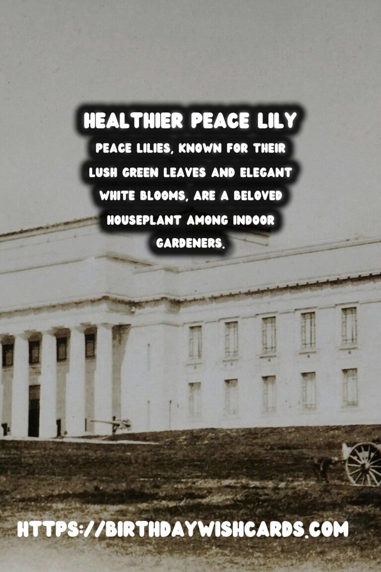 Caring for Peace Lilies: Troubleshooting Browning Leaves