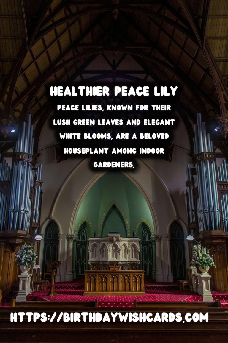 Caring for Peace Lilies: Troubleshooting Browning Leaves