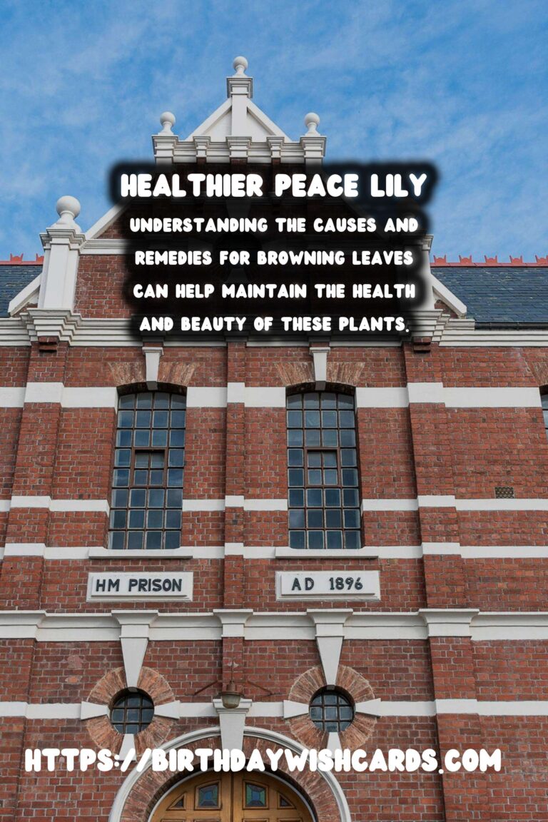 Caring for Peace Lilies: Troubleshooting Browning Leaves