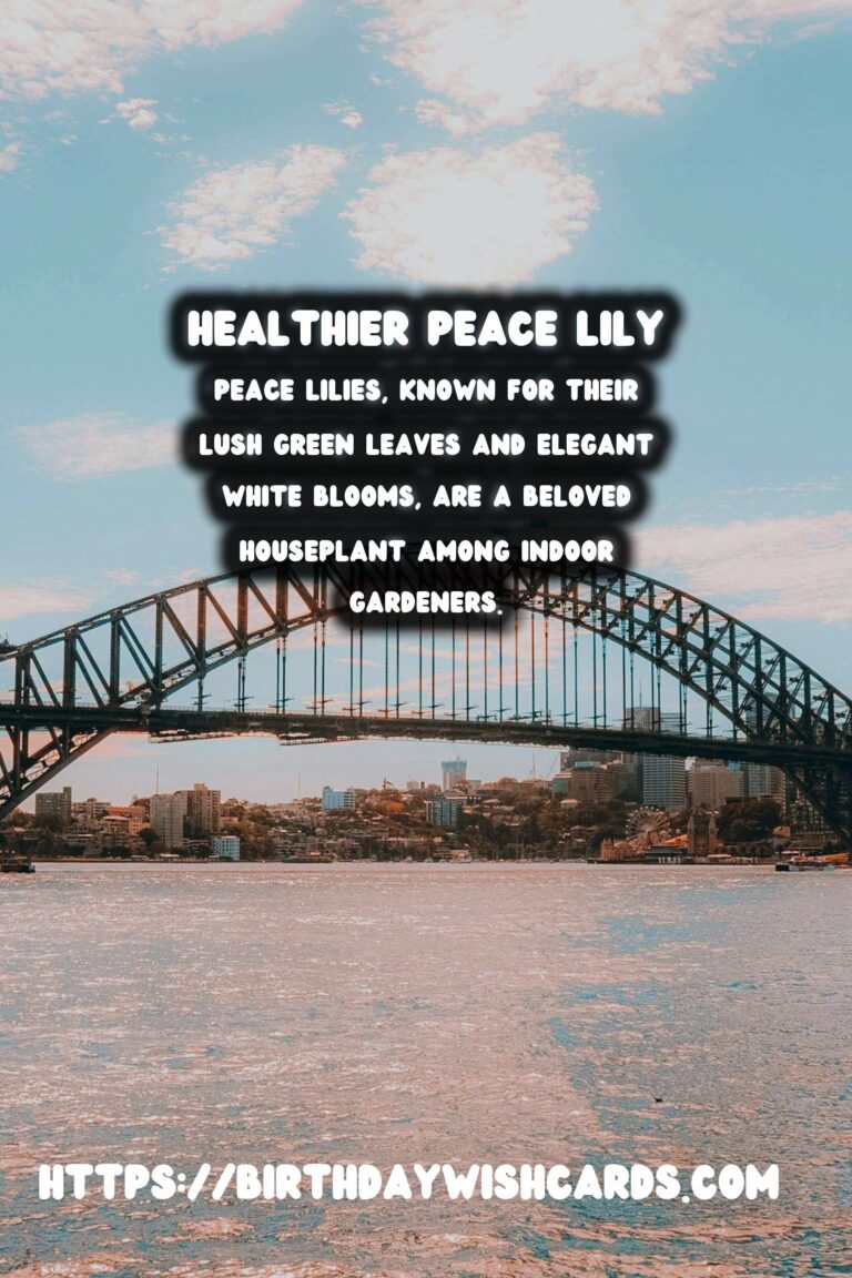 Caring for Peace Lilies: Troubleshooting Browning Leaves