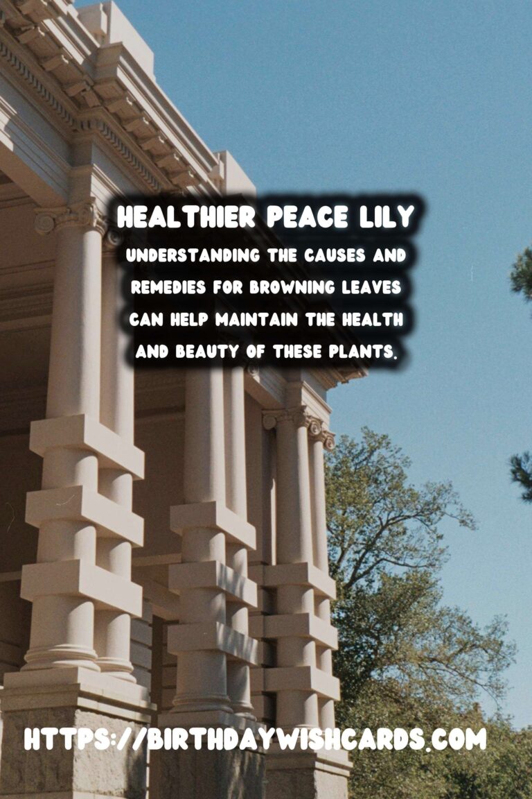 Caring for Peace Lilies: Troubleshooting Browning Leaves