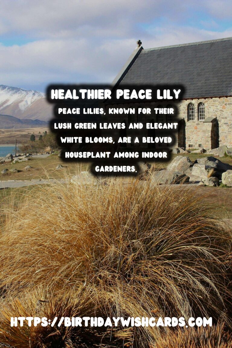 Caring for Peace Lilies: Troubleshooting Browning Leaves