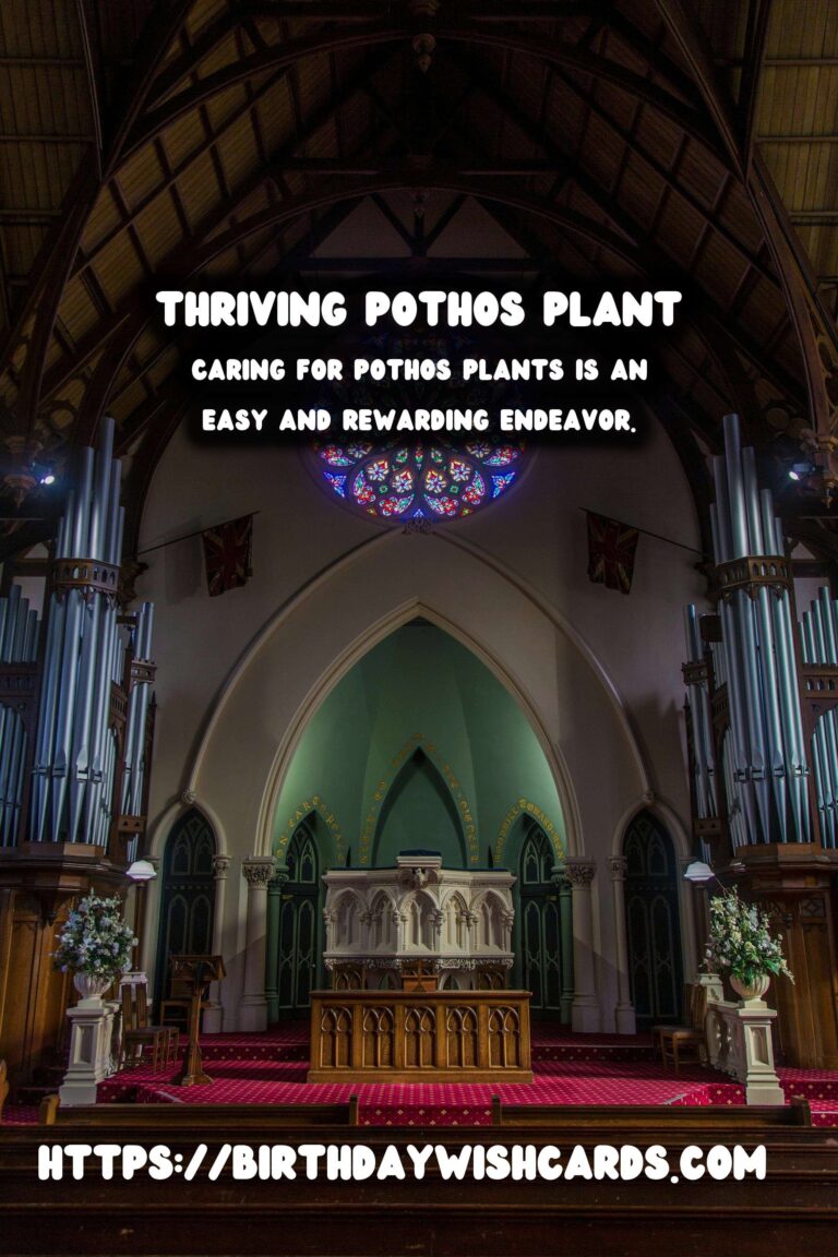 Caring for Pothos Plants: Low Maintenance & Versatile