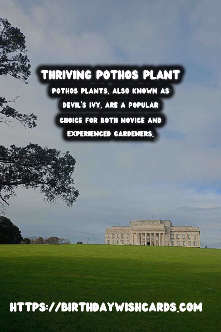 Caring for Pothos Plants: Low Maintenance & Versatile